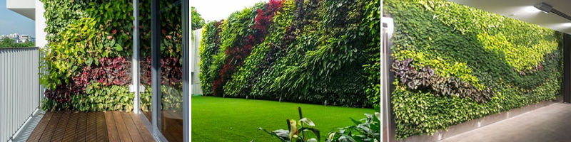 jasa vertical garden