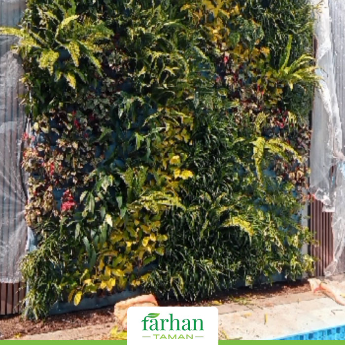 Jasa Vertical Garden Jakarta